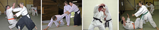 Aikido Montage
